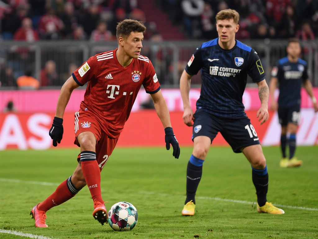 帮助用户在 帮助用户在