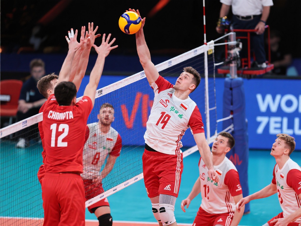 找效率更高 找效率更高